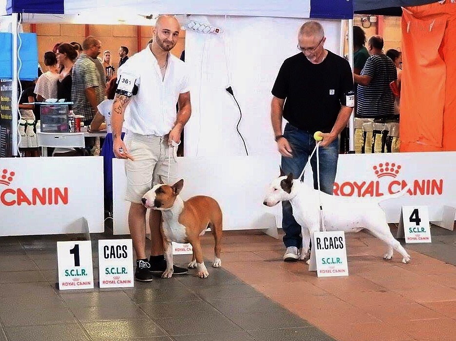 Du Pic Elégant - Jamais 2 sans 3 ?
